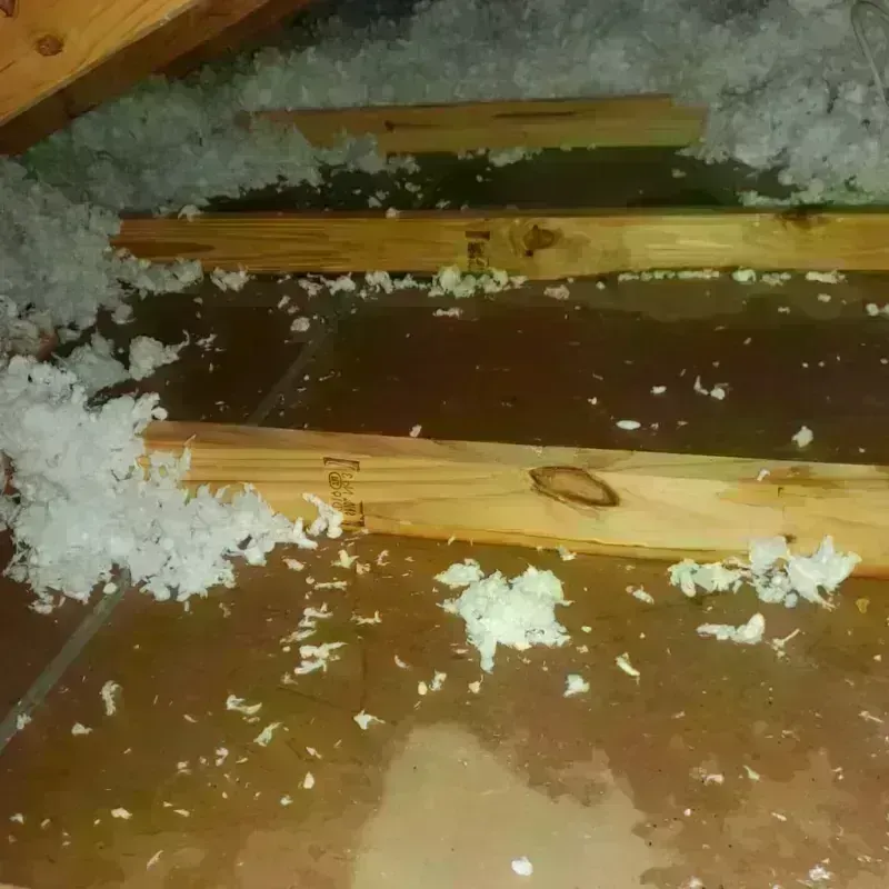 Attic Water Damage in Glenwood, MN